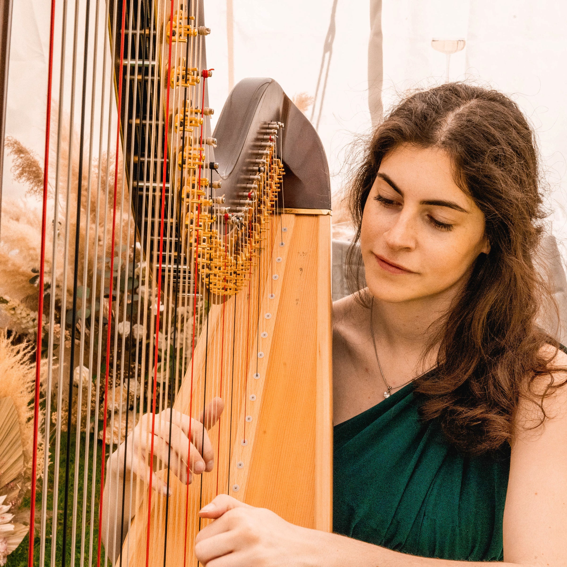 Noa Davies - Harpist