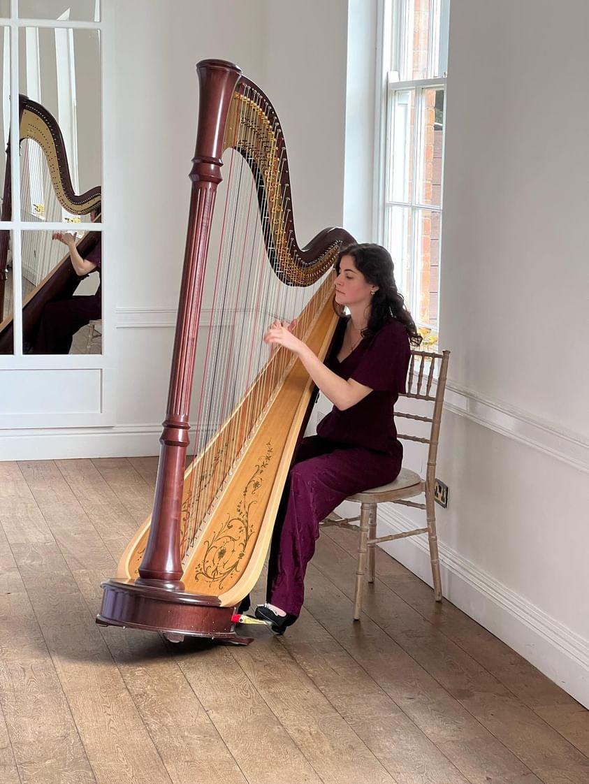 noa davies - harpist 1706269476.jpeg