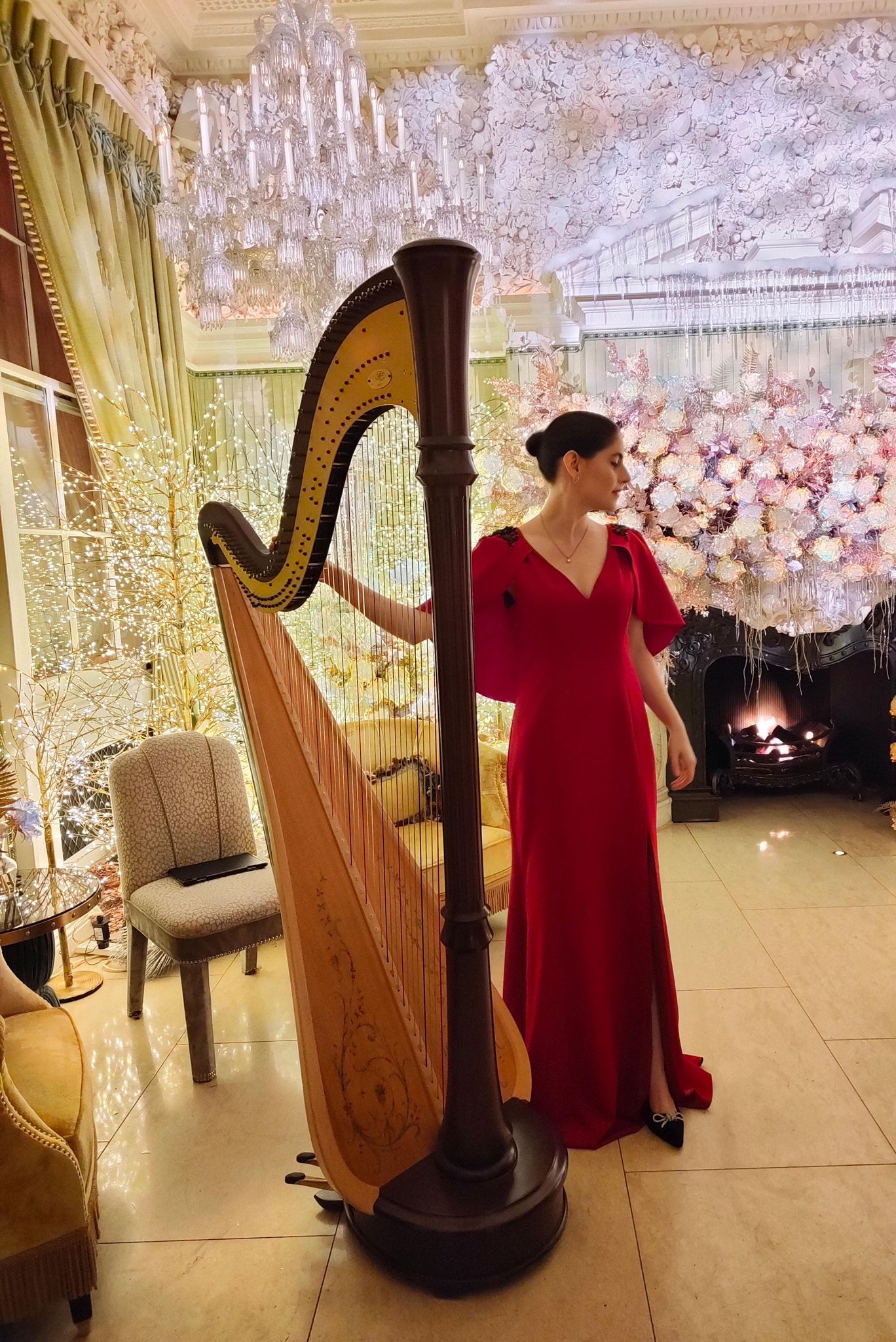 noa davies - harpist 1706269612.jpeg